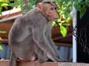 Scars Some Outside Many Deeper Inside