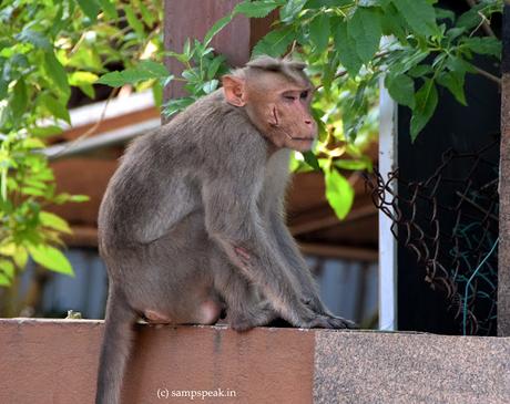 Scars - some outside many deeper inside !!!