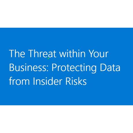 The threat within your business: protecting data from insider risks