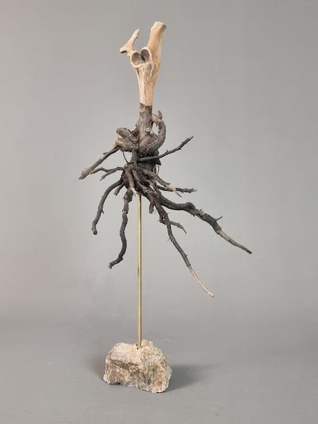 Blind Cyclops Screaming (Entity Effigies Series) Blind Cyclops Screaming (Entity Effigies Series)