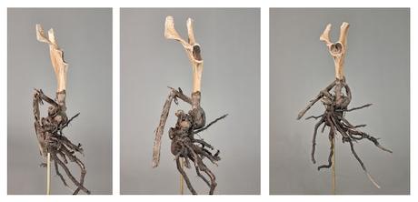 Blind Cyclops Screaming (Entity Effigies Series) Blind Cyclops Screaming (Entity Effigies Series)