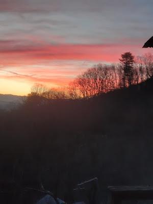 Not So Silent Sunday