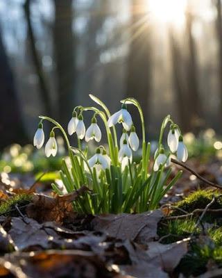 That Familiar Feeling