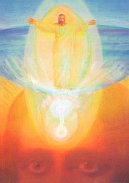 16 Pisces Paintings