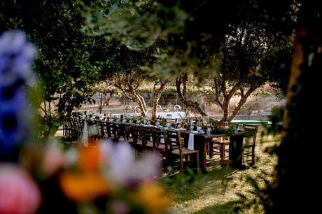 Rustic Chic Olive Grove Wedding Decor Ideas