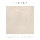 Gabriel Vicéns: Niebla