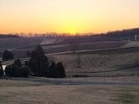 Vineyard Mechanization Through Stone Tower Winery to the EWE