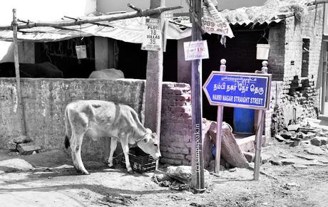 துபாய் குறுக்கு தெரு தெரியும் ... நேர் தெரு தெரியுமா ?