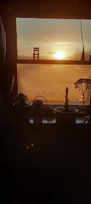 Morning Light