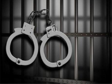 Three arrested over vehicle racket using forged documents