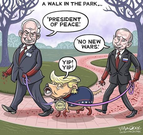 A Walk In The Park