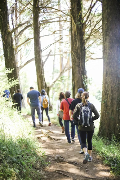 Feeling down? Take a Hike!