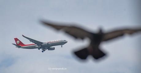 Icarus Myth -  Coincidental composition
