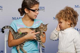 I GOT A CAT TO SOLVE A MOUSE PROBLEM—and Found Something Else Entirely... I GOT A CAT TO SOLVE A MOUSE PROBLEM—and Found Something Else Entirely...