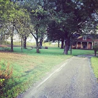 I GOT A CAT TO SOLVE A MOUSE PROBLEM—and Found Something Else Entirely... I GOT A CAT TO SOLVE A MOUSE PROBLEM—and Found Something Else Entirely...