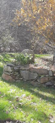 Springing Into Spring