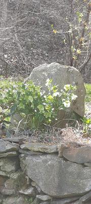 Springing Into Spring