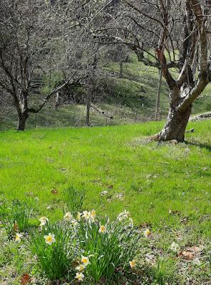 Springing Into Spring