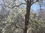 Springing Into Spring