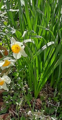 Springing Into Spring