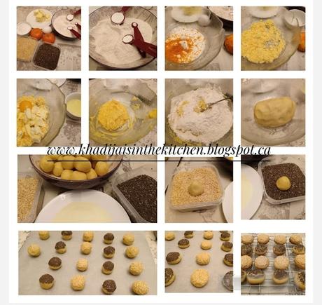 BISCUITS / COOKIES / GALLETAS / بيسكوي