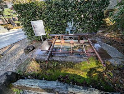 What I Learned, Looking Forward, Looking Back: March 2026 What I Learned, Looking Forward, Looking Back: March 2026