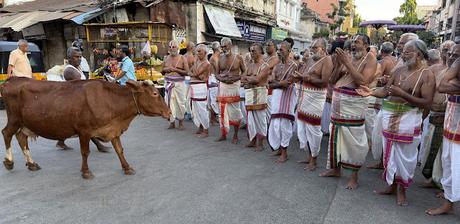 face-to-face at Triplicane
