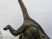Back Time: Diplodocus Longus