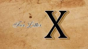 The X Factor The X Factor