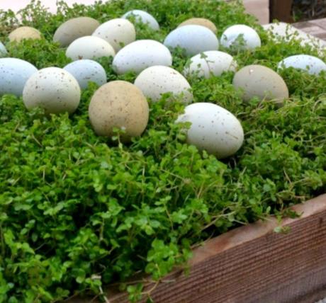 Spring Family Gathering