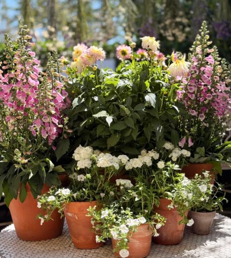 Spring Family Gathering