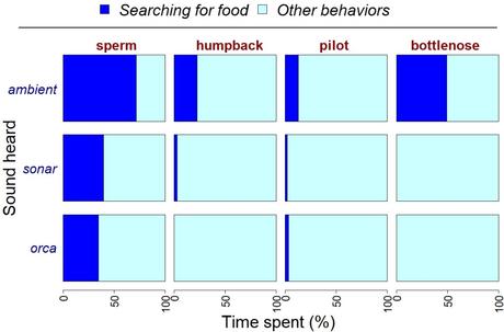 When noise signals danger