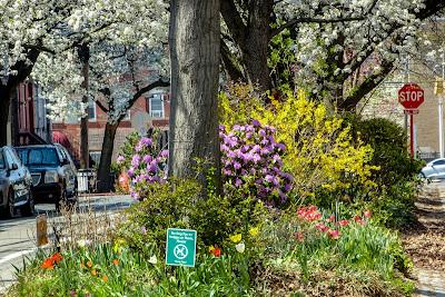 From yesterday's walk