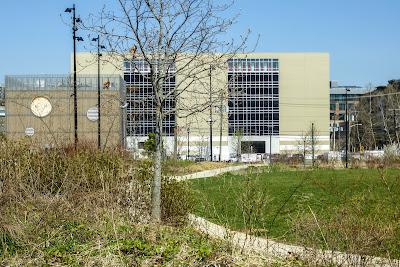 From yesterday's walk