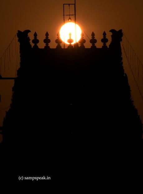 Sunset !!   ~   பூக்கள் விடும் தூது !!!