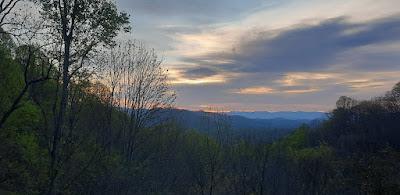 Oh, Spring! Oh, Joy!