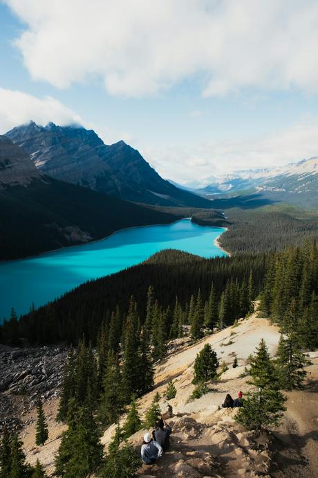 Hiking Apps That Help You Plan Routes And Stay Safe Outdoors