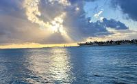 Exploring Old Town Key West’s Distilleries and Breweries