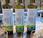 Essence Olive: Olive Trees Pollinate