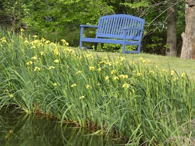 At the Pond