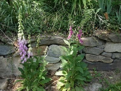 Wordless Wednesday