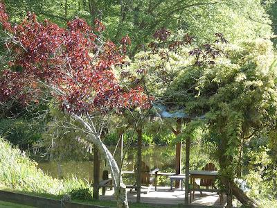 Wordless Wednesday