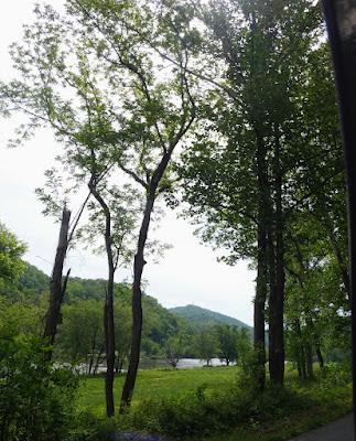Wordless Wednesday