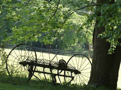 Wordless Wednesday