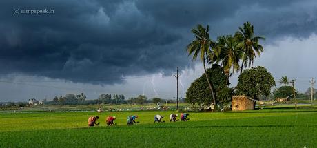 dark rain clouds !! and green fields