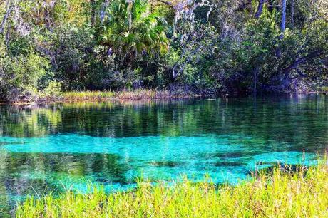 spring water, green, nature