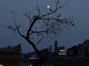 சித்திரை நிலவு Twilight Triplicane
