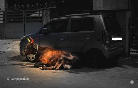Cow-corner