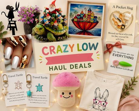 Crazy Low Amazon Haul Deals Under $20: Fun Finds, Viral Gifts & Budget Buys Image: Amazon Deals, Budget Finds, Gift Ideas, Viral Products, Amazon Haul