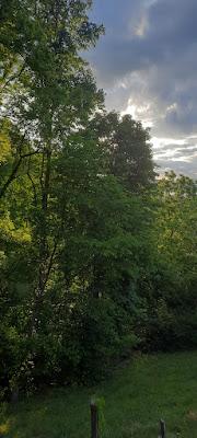 Glory in the Morning